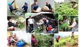 Tình trạng tái nghèo đang diễn ra ở nhiều địa phương