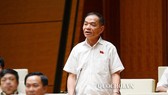 ĐB Lê Thanh Vân. Ảnh: QUOCHOI