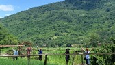 TPHCM: Điều tra đột xuất về tác động của Covid-19 đối với doanh nghiệp