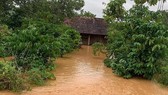 Tìm thấy người đàn ông bị lũ cuốn ở Đồng Nai