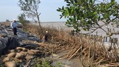 Cà Mau khẩn cấp đầu tư xây kè chắn sóng bờ biển Đông
