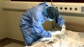 Doctor of the Eye Bank is performing an operation for the donation of cornea