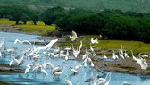 Biodiversity corridor to be built in central provinces