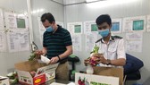 Trái cây tươi Việt Nam chuẩn bị tiếp tục xuất khẩu sang Hoa Kỳ