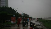 Người dân đua nhau vớt củi trên sông Trà Khúc