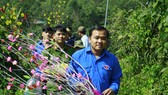 Mang xuân đến với vùng cao