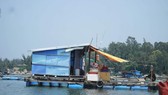 Giải quyết dứt điểm nuôi cá lồng bè tự phát tại khu vực biển và sông Trà Bồng (Quảng Ngãi)