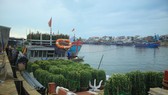 Những chuyến tàu “chở tết” ra đảo Lý Sơn