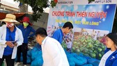 Dưa hấu ở Quảng Ngãi “giải cứu” đến bao giờ?
