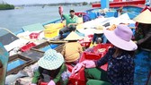 Quảng Ngãi: Hơn 1.100 tàu cá dài từ 15m được cấp giấy chứng nhận đủ điều kiện an toàn vệ sinh thực phẩm