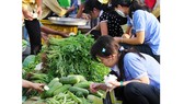Phía sau làn sóng di cư - Bài 3: Khoảng trống văn hóa, nhiều giá trị rởm xuất hiện