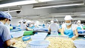 Cấp bách tái cơ cấu ngành điều