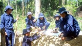 Đưa các anh về đất mẹ