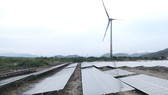 Tổ hợp điện gió và điện mặt trời của Tập đoàn Trung Nam tại Ninh Thuận