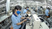 Chuyển đổi thị trường để duy trì sản xuất