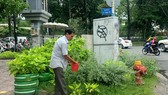 Huy động sức dân tạo không gian xanh