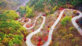 Du lịch Hàn Quốc kỳ vọng sẽ đón khách trở lại vào cuối năm 2020