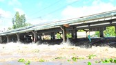Khơi thông mạch chứa nước ngọt
