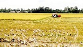 ĐBSCL: Chuyển đổi mô hình phát triển bền vững