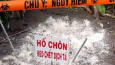 An Giang, địa phương thứ 2 ở ĐBSCL xuất hiện dịch tả heo châu Phi