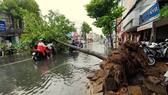 Giông lốc tại Cần Thơ khiến 1 người tử vong