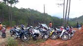 Dân chơi đá gà chạy tán loạn giữa rừng khi bị phát hiện