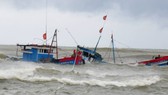 Đã tìm thấy 10 thuyền viên “mất tích” trên tàu chở than Thái Thụy 88