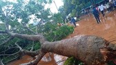Thiên tai đầu mùa làm 17 người thương vong