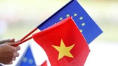 Sẵn sàng hồ sơ trình Quốc hội phê chuẩn EVFTA