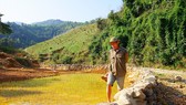 Buồn ở đất “vàng vui”