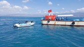 Hàng trăm ngàn con tôm sú, ốc hương, cá bớp giống đã được thả xuống biển Bình Thuận.