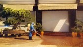 Tỉnh Bình Thuận đang theo dõi, giám sát chặt chẽ, cách ly tại nhà 402 người đến hoặc trở về từ TP Đà Nẵng và tỉnh Quảng Ngãi.