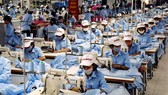 Garment products for export at Duc Giang Corp, an affiliate of Vietnam Textile and Garment Group. (Photo: VNA/VNS)
