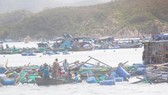 Khanh Hoa province suffers VND13.5 trillion damage because of Typhoon Damrey (Photo: SGGP)
