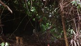 A gaur individual captured by camera trap in Rao Con Village.