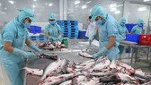 Workers preparing fish for further processing at a plant belonging to Sao Mai Group in the southern province of Dong Thap (Photo: VNA/VNS)
