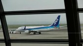 An aircraft of ANA (Photo: internet)