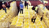 Thái Lan cấp 2,2 tỷ USD tín dụng hỗ trợ nông dân