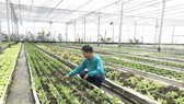 Đề nghị được xây dựng công trình phục vụ nông nghiệp trên đất trống