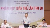 Chủ nhiệm Ủy ban Pháp luật của Quốc hội Hoàng Thanh Tùng phát biểu. Ảnh: TTXVN
