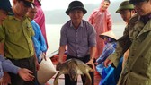 Con rùa biển nặng 22kg