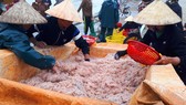 Người dân miền Trung phấn khởi được mùa cam và “lộc biển”