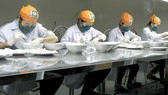 Chế biến tổ yến tại xã Tam Thôn Hiệp, huyện Cần Giờ, TPHCM. Ảnh: PHIÊU NHIÊN