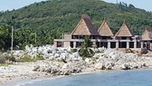 Cận cảnh san hô biển bị đào bới không thương tiếc