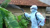 Đà Nẵng: Nguy cơ bùng phát dịch sốt xuất huyết
