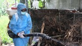 Hiện nay việc phòng chống dịch SXH chủ yếu vẫn là diệt lăng quăng và phun hóa chất diệt muỗi