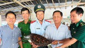 Thả rùa biển quý hiếm về biển