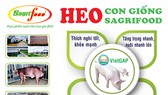 SAGRIFOOD – Nơi cung cấp heo con giống và giải pháp chăn nuôi an toàn