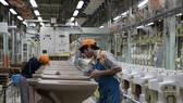  Thực tập sinh Việt Nam làm việc tại Nhà máy gốm sứ vệ sinh Enokido của LIXIL ở tỉnh Aichi. Ảnh: TTXVN
