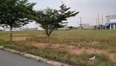 Bắt nguyên giám đốc lừa bán nền đất dự án ảo